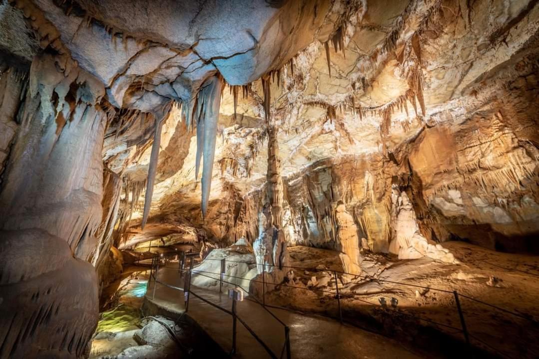Nos Jours Heureux Lägenhet Barjac  Exteriör bild